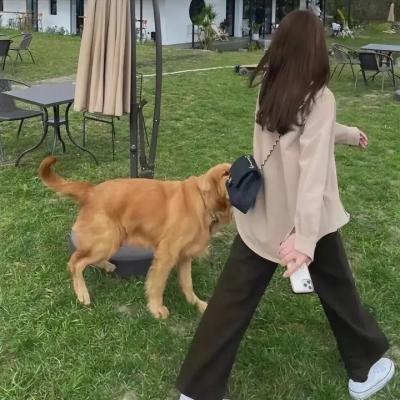 致命关系